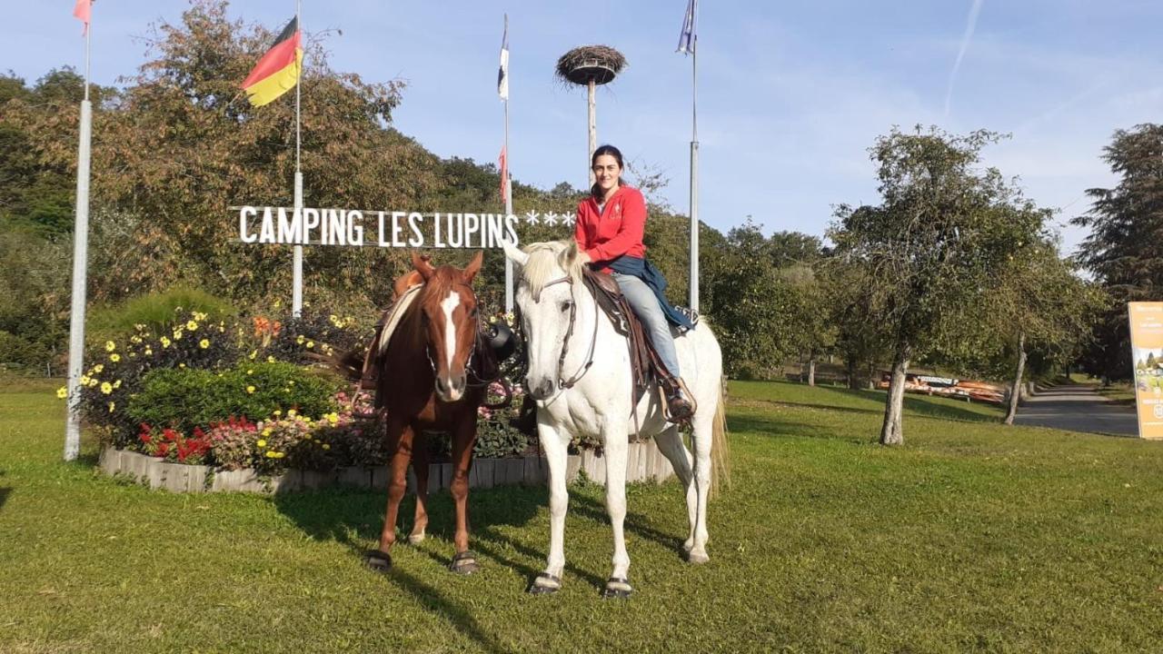 Camping Les Lupins Seppois-le-Bas Dış mekan fotoğraf