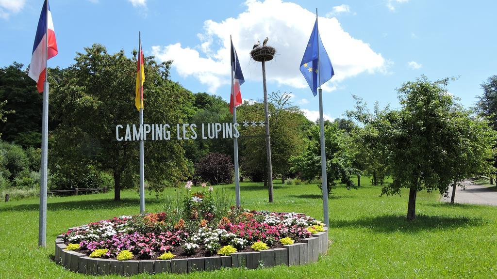 Camping Les Lupins Seppois-le-Bas Dış mekan fotoğraf
